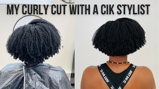 My First Natural Hair Salon Visit With A Curly Cut Stylist| Wash & Go And Cut#30Dayhairdetox#4Chair