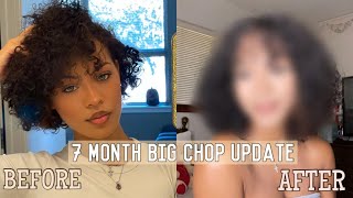 Big Chop On Natural Hair: My Big Chop Update + How I Grew It Back In 7 Months!!