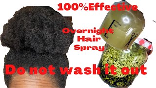 Overnight Leave-In Spray For Fast Hair Growth(Don’T Wash It Out)