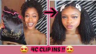 ( Better Length Hair ) 4B- 4C Clip In Extensions !! Protective Styling .