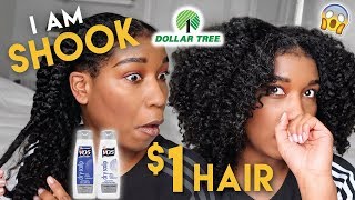 I Used Only Dollar Store Hair Products & This Happened!!! Was Not Expecting That!