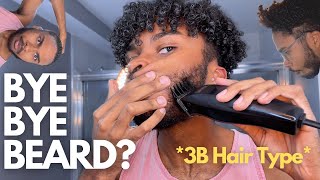 Wet N' Go Hair Tutorial | 3B Hair Type | Reid'S Room