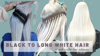Black Roots To White Platinum Blonde Hair Extensions [22 Inch Custom Hybrid Wefts + Ilinks]