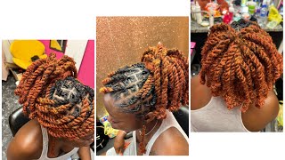Two Strand Marley Twist Over Locs