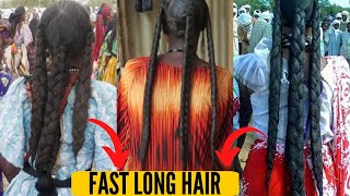 Chebe Powder Secret For Fast Super Long Natural Hair Growth - Women Of Chad Length Retention