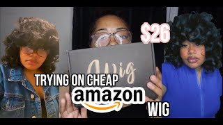 Cheap Amazon Wig Review