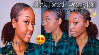Slick Back Ponytail W/ Clip Ins| Ft.Sassina Hair