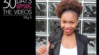 Natural Hair Challenge - 30 Days, 30 Updos: Day 6