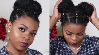 2 In 1!!!! Quick And Easy Natural Hair Faux Updos/Buns!!!