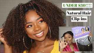 4C Natural Hair Clip-Ins Under $30 ! | But Is It Actually 4C Hair Though?! | Y'All Got To See T