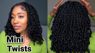 Mini Twist Tutorial! (Protective Style --No Added Hair)| Natural Hair + Low Tension Curly Hairstyles