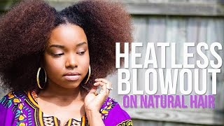 Heatless Blowout | Natural Hair
