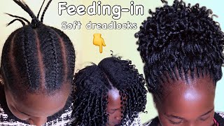 Soft Dreadlocks Hairstyle That You Need To Try |Feeding-In Curly Braids @Janeil Hair Collection