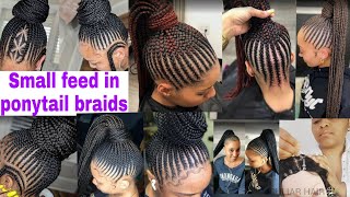 Feed In Ponytail Braids/Feed In Cornrows #Ponytail Hairstyles | Peculiar Hair