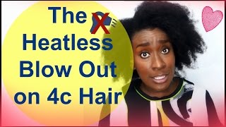 Natural Hairstyle Tutorial: The Heatless Blow Out On Natural Hair ( 4C, 4B )