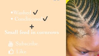 Simple Small Feed-In Cornrows | Washed | Conditioned Hair | Darling Yaki Braids-Black