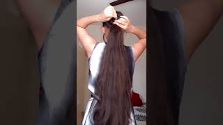 Bubble Ponytail | Hairstyle For Long Hair