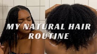 My Weekly Natural Hair Routine From Start To Finish |Cococurls'