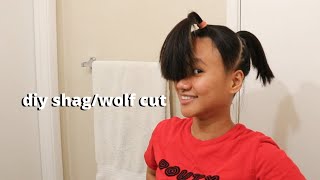 Giving Myself A Shag/Wolf Cut With Short Hair At Home (Shocking Results)
