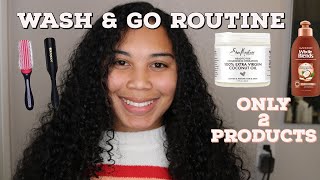 Wash & Go Wavy/Curly Hair Routine | Natural 3B/3C Hair | Easy Curly Hair Routine 2020