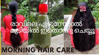 രാവിലത്തെ മുടി വളർച്ച ഇരട്ടി ആവും | Curry Leaf Hair Toner | Morning Hair Care