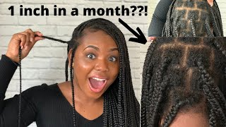 1 Month Hair Growth With Knotless Braids How I Grow My 4C Hair Fast And Retain Length