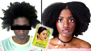 I Tried Ayurveda For My Hair. | First Ayurvedic Treatment On 4C Natural Hair