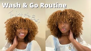 Simple Wash & Go Routine 2022 | Color Treated Natural Hair