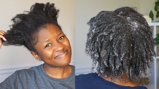 How I Fixed My Super Dry & Brittle Short 4C Natural Hair In A Hour!!!|Mona B.