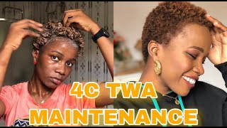 4C Twa Natural Hair Maintenance/Wash Routine