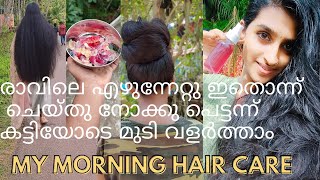 രാവിലെ മുടി വളരാൻ | My Morning Hair Care | Home Made Toner