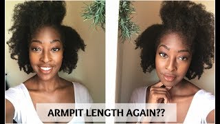 13 Unconventional Ways I Grow My Thin/Fine Natural Hair