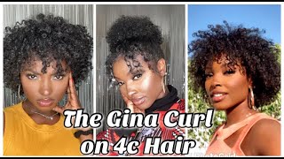 Making My 4C Hair Manageable And Curly With The Gina Curl!