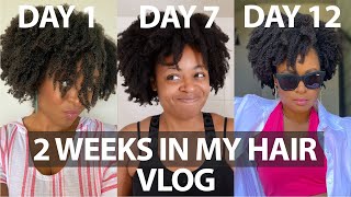 Two Weeks In My Wash And Go Routine | 4C Hair Maintenance