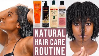 Natural Hair Care Routine (4B/4C Natural Hair)