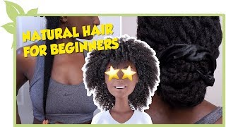 Natural Hair For Beginners