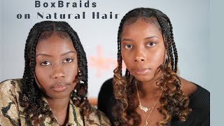 How To Do Box Braids On Natural Hair Without Extensions | Mini Braids Protective Style |