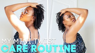 How To Care And Moisturize Mini Twists On 4C Hair