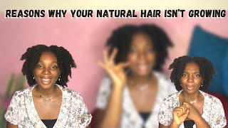Five Reasons Why Your Natural Hair Isn’T Growing // Tips To Growing Long Natural Hair