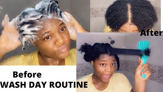 Wash Day Routine! On 4C Natural Hair, For Growth And Hair Retention #4Chair #Naturalhair