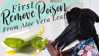 4C Haircare-Using Fresh Aloe Vera Gel? Remove The Poison First! | No Itch No Flakes Method