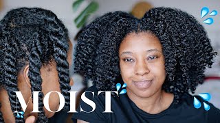 Moisturise Dry Natural Hair In 4 Easy Steps | Detailed W/Product Recommendations