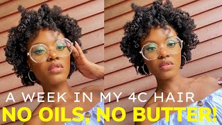 No Oils, No Butter On Real 4C Hair? (Week 2)
