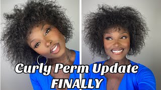 Gina Curl Curly Perm Update On My 4C Hair