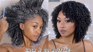 Type 4 Hair Updated Wash N Go Routine | Curl Definition At Its Best  | Disisreyrey