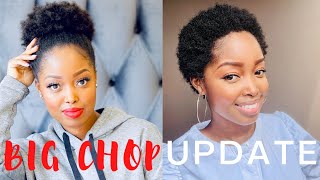 6 Month Big Chop Update + My Favourite Winter 4C Hair Care  Routine | Tshego Makoe