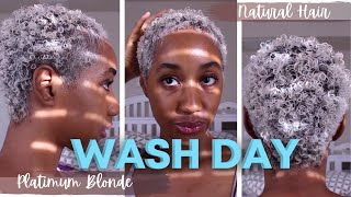 Platinum Natural Hair Care Routine: Moisturizing My Curls & Preserving My Color | Lauren Whitney