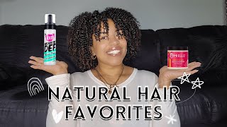 My Current Favorite Natural Hair Products | 2022 Must-Haves