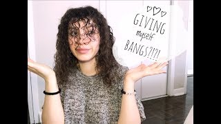 Giving Myself Bangs??? | I Cut My Curly Hair