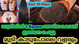 Oru Spoon Teeyil Mti Mutti Kaatt Poole Vllrunlong Hair Tip Malayalam|Hair Care Tips|Black Tea Hair G